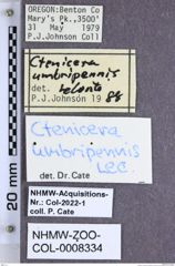 Etiketten zu Liotrichus umbripennis (LeConte, 1857) (NHMW-ZOO-COL-0008334)